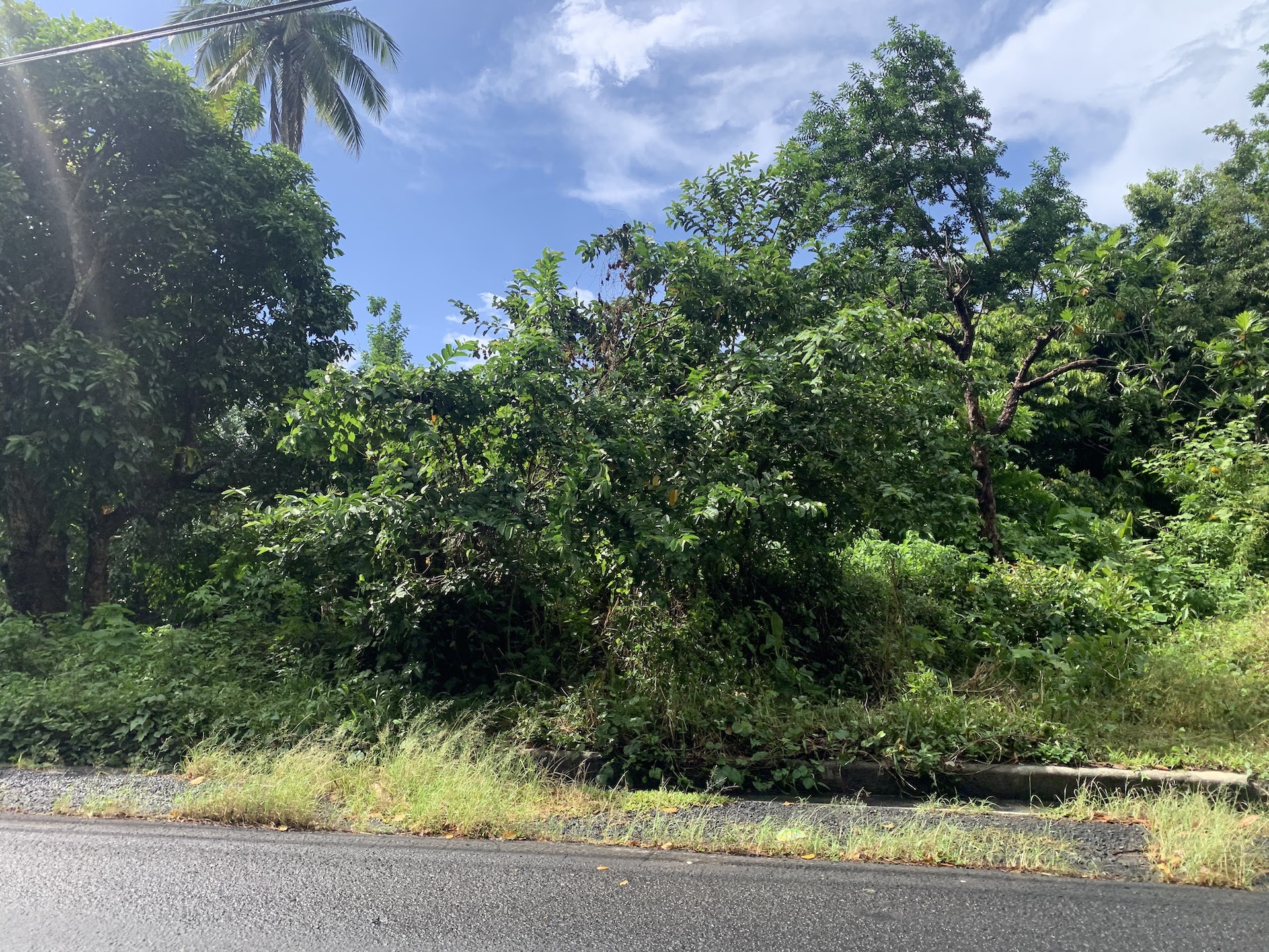 Investment - 23 Acres of land in St Lucia