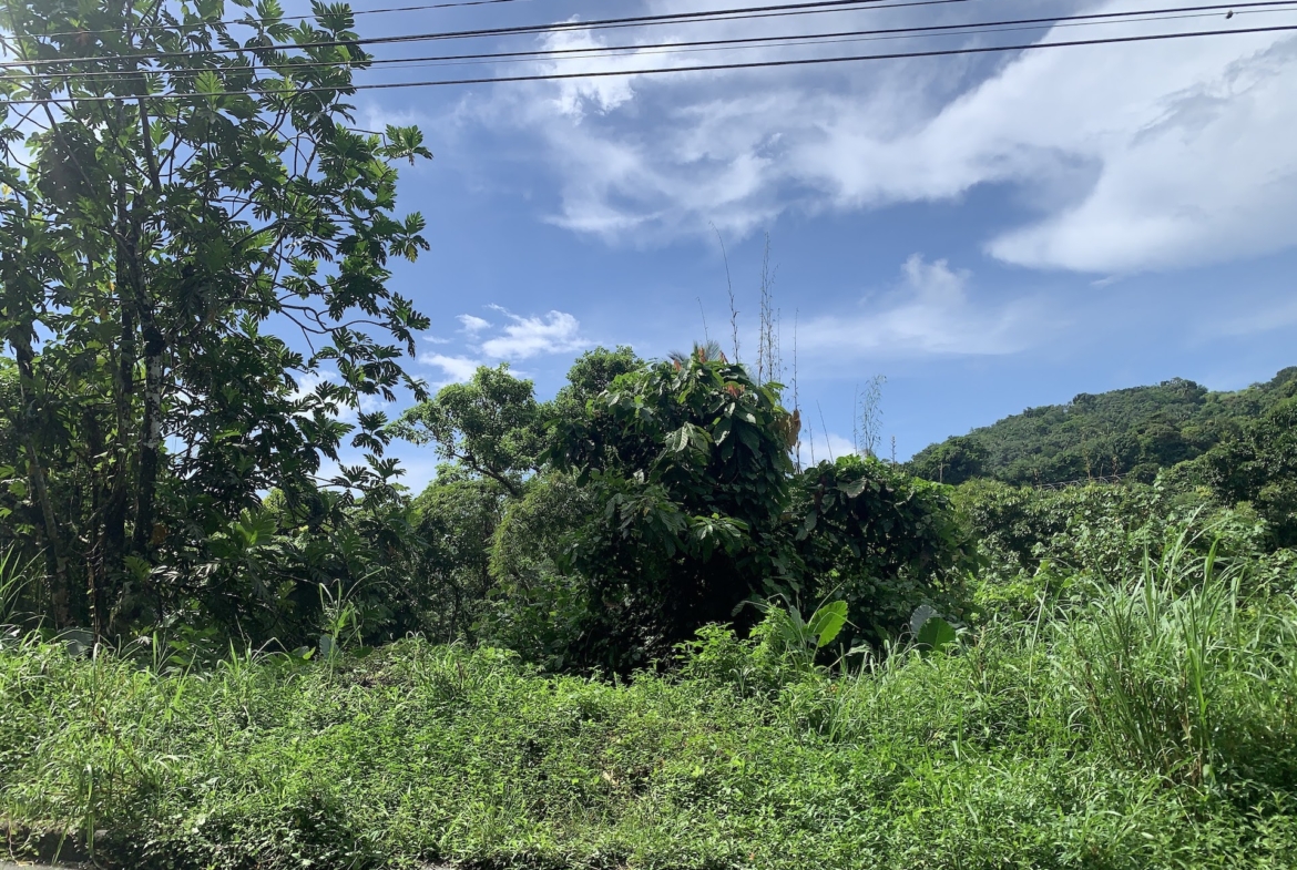 Investment Opportunity - 23 Acres of land in St Lucia