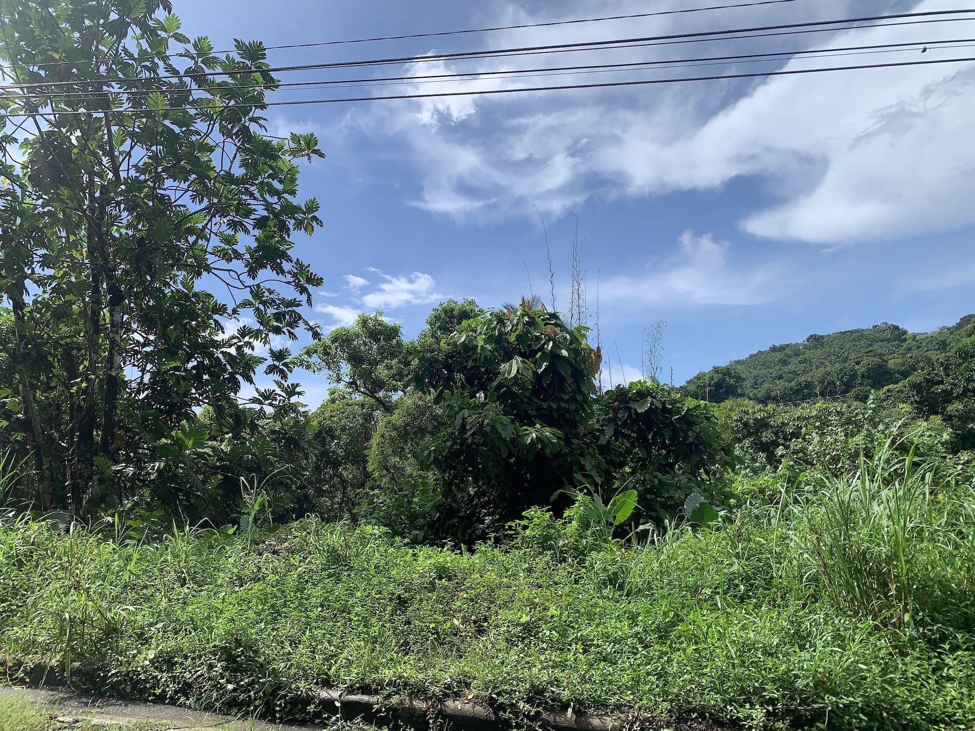 Investment Opportunity - 23 Acres of land in St Lucia