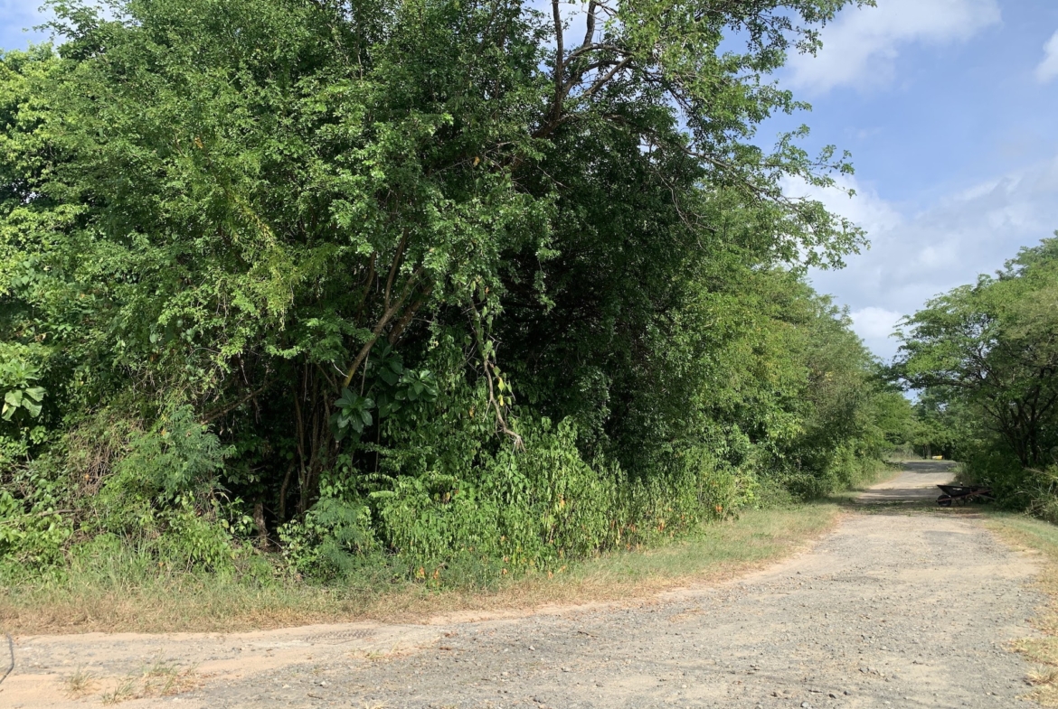 Residential Land For Sale In Balembouche, Laborie