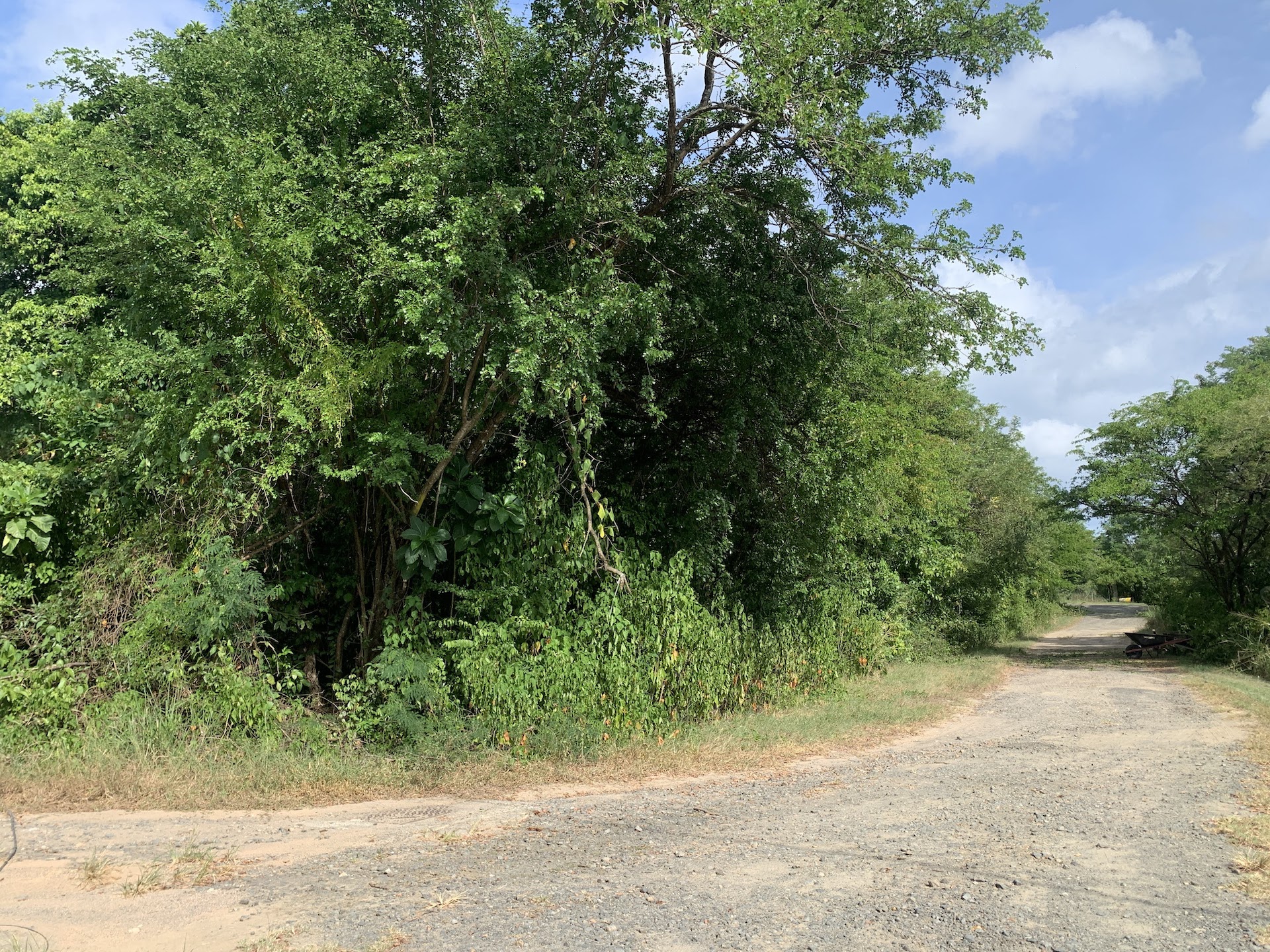 Residential Land For Sale In Balembouche, Laborie