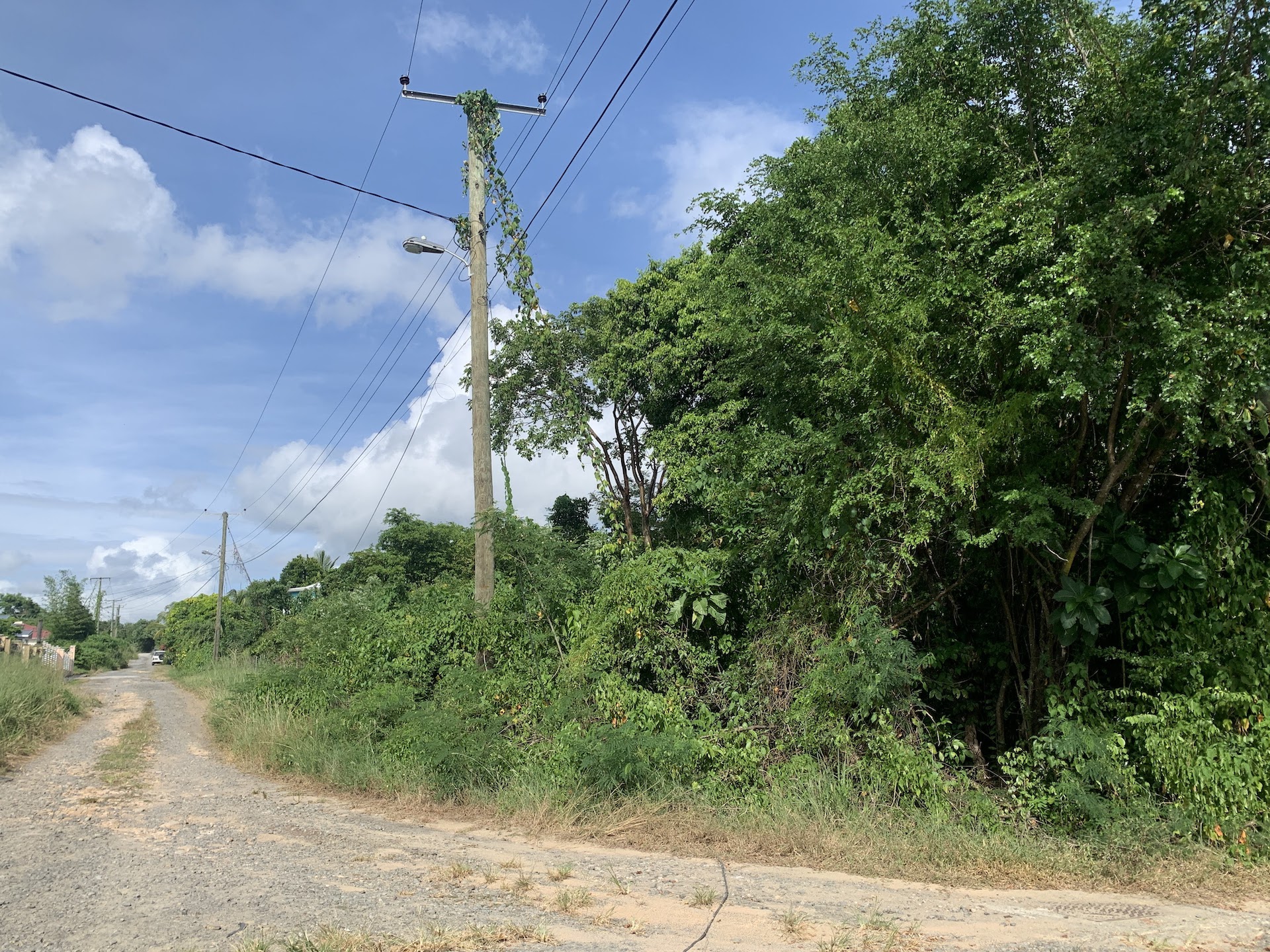 Residential Land For Sale In Balembouche, Saint Lucia