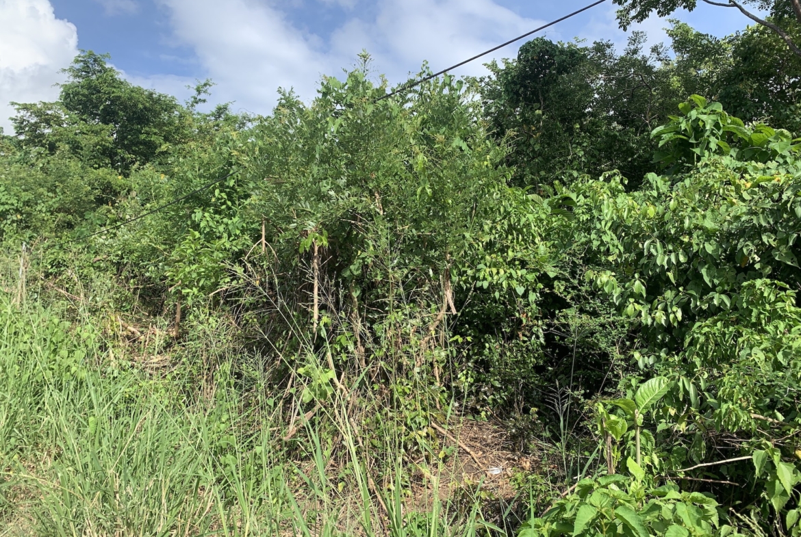 Residential Land For Sale In Laborie, Saint Lucia