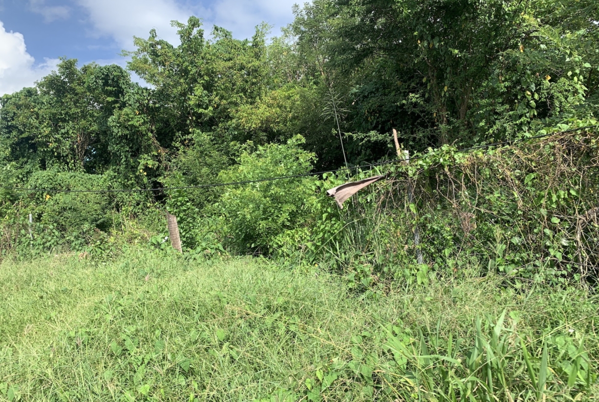 Residential Land For Sale In Laborie, Saint Lucia
