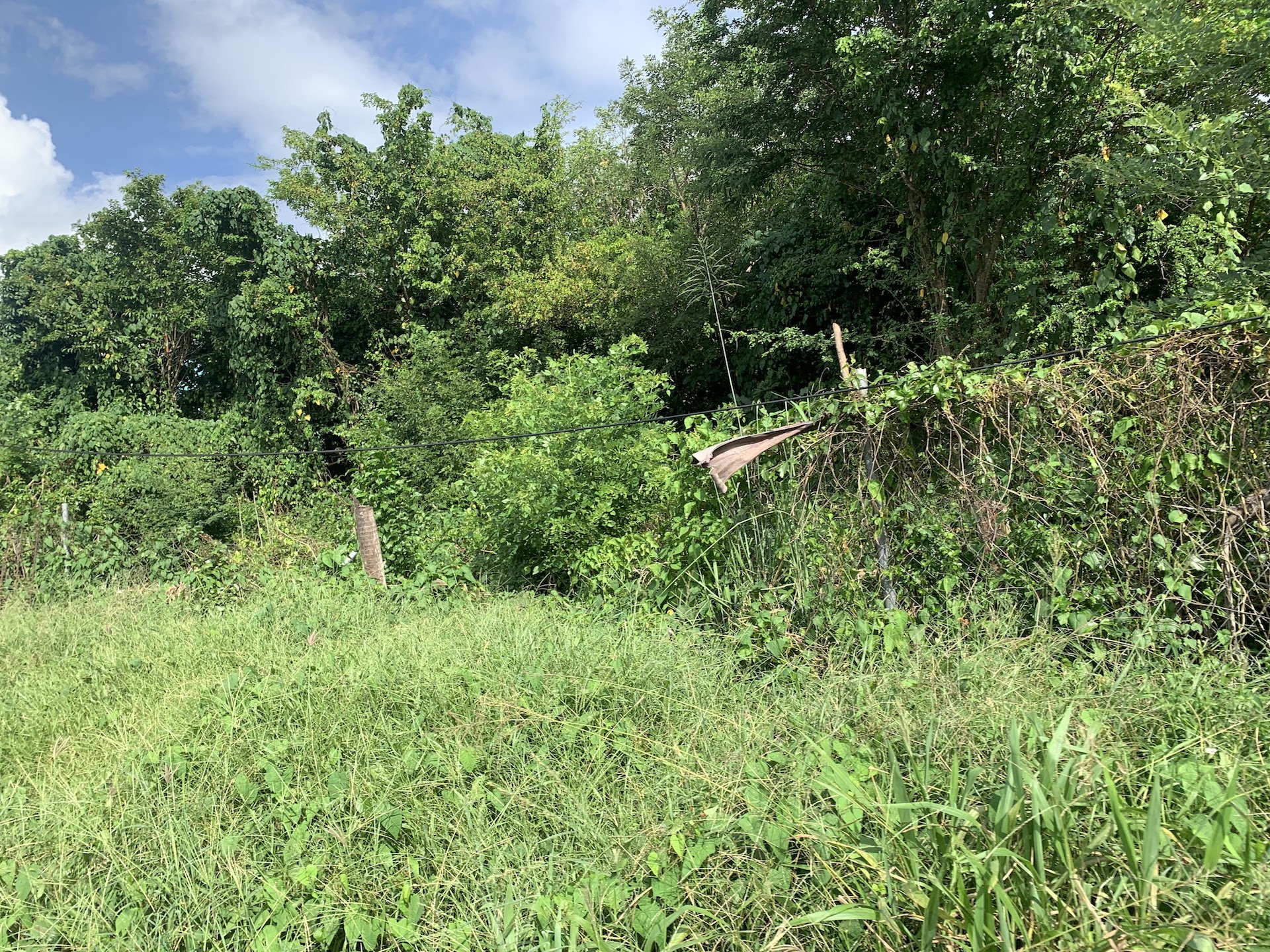 Residential Land For Sale In Laborie, Saint Lucia