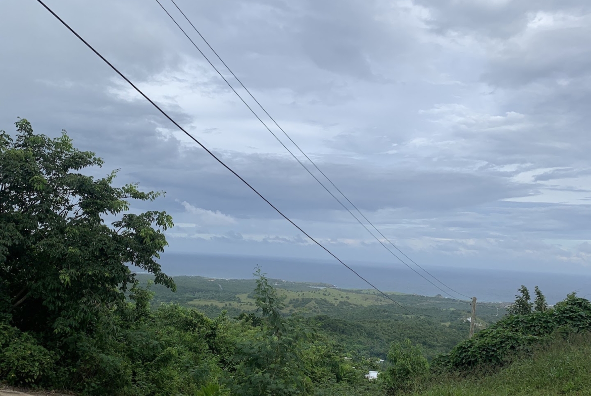 Incredible Value Land for Sale In Castries!