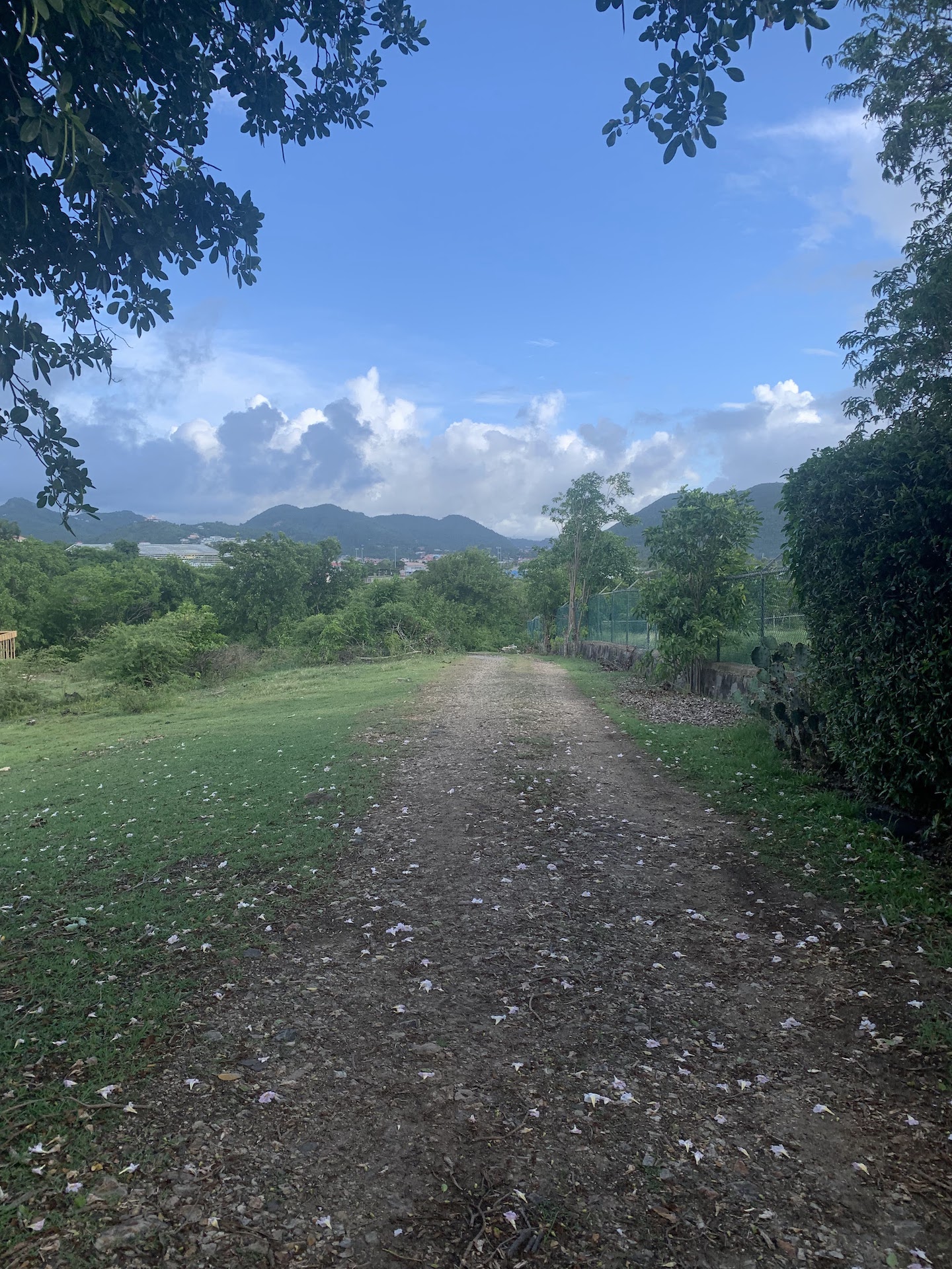 Investment Property for Sale in Bellvue - Gros Islet