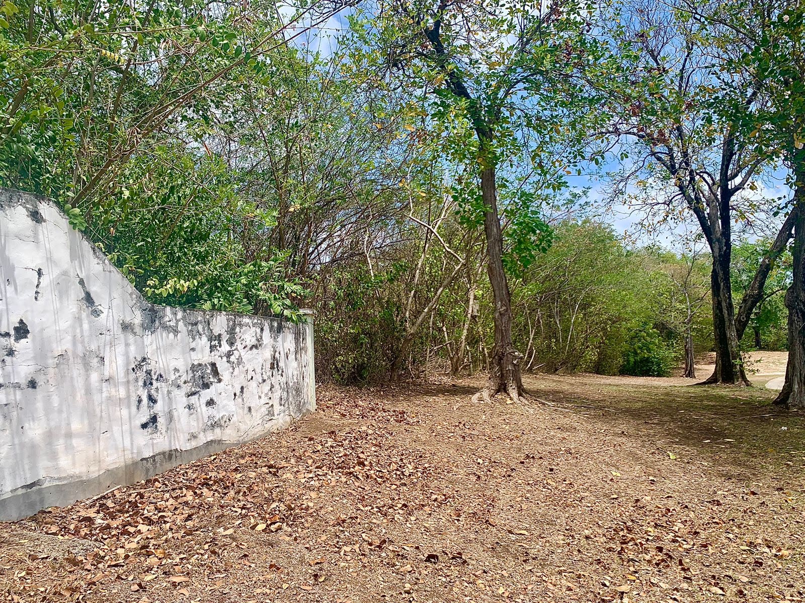 Incredible Land for Sale in Cap Estate 4