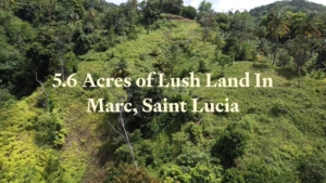 Marc Land for Sale - Thumb