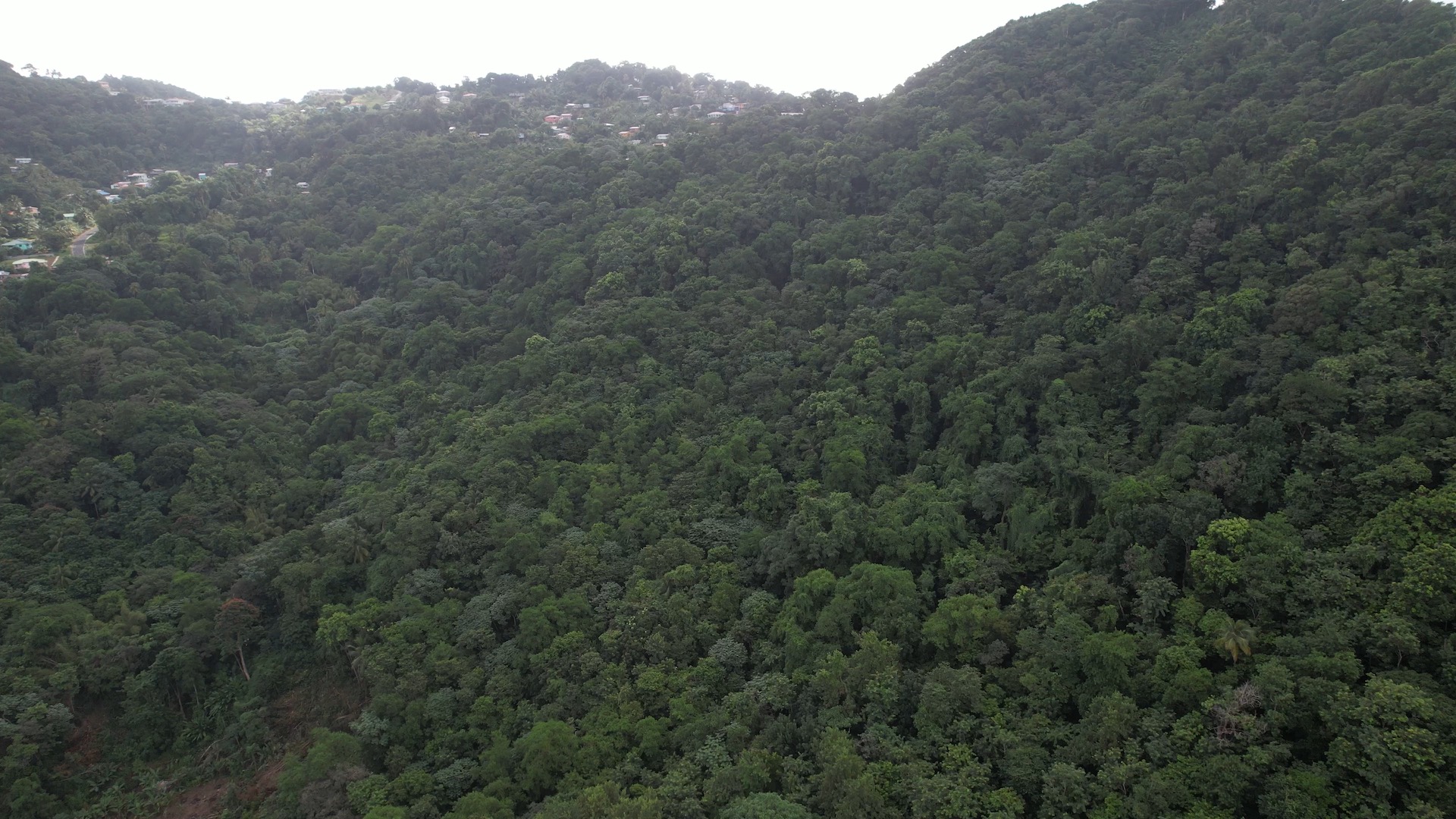 Land and Development Plans and Permits for Sale 5