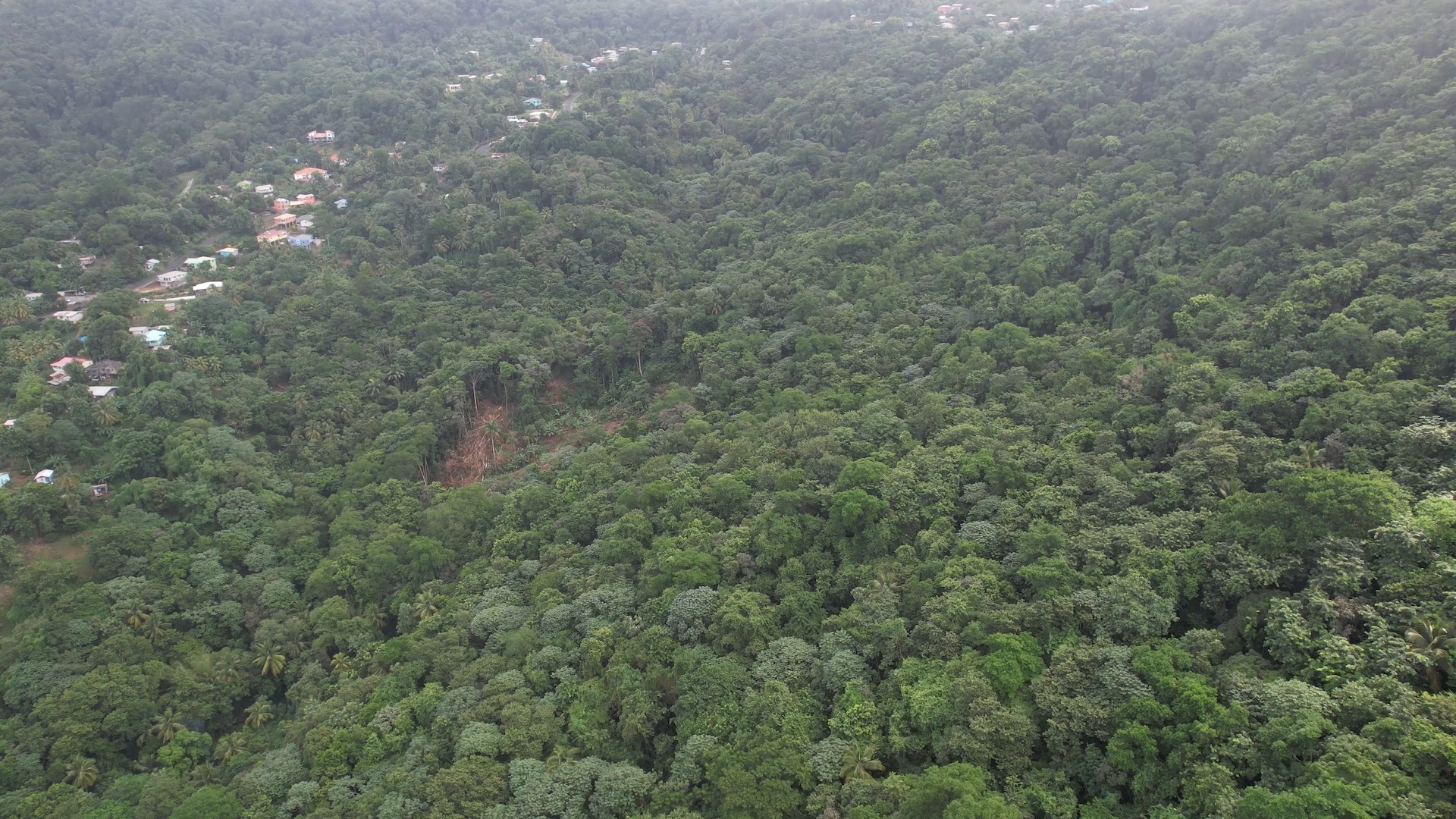 Land and Development Plans and Permits for Sale 3