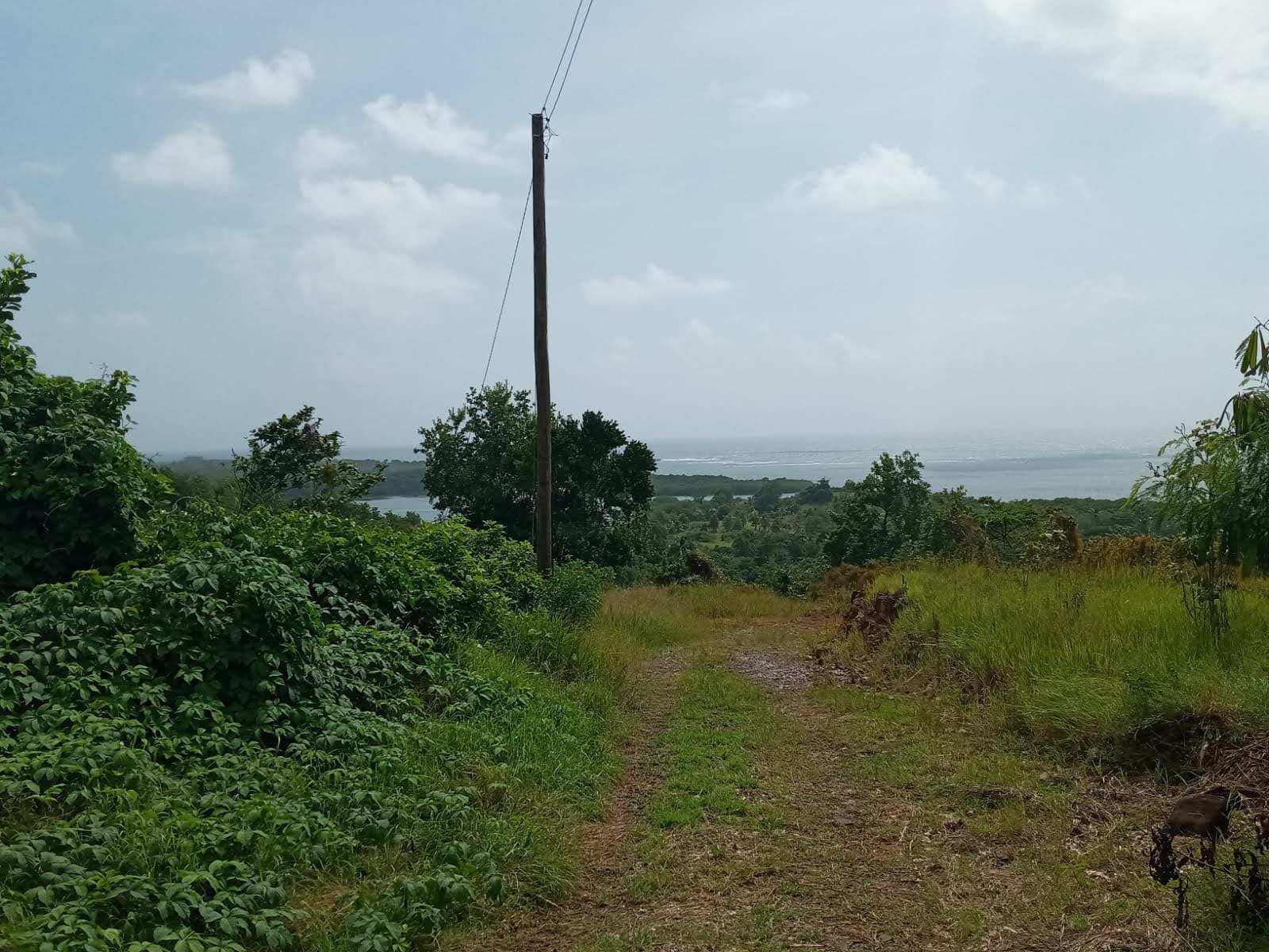 Land of Home for Sale in Savannes Bay Land of Home for Sale in Savannes Bay