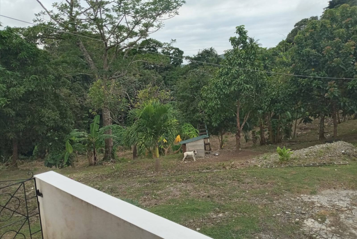 Yard of Home for Sale in Augier, Laborie Saint Lucia