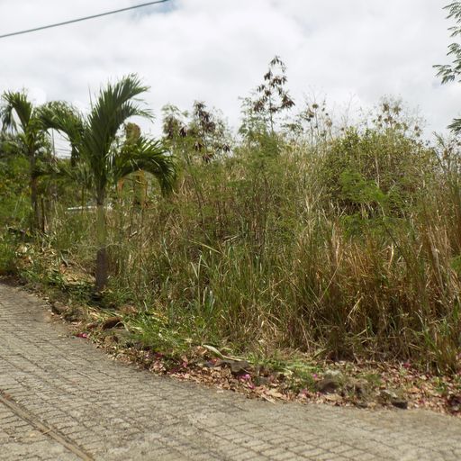 Land with Great View for Sale in Monchy, Gros Islet