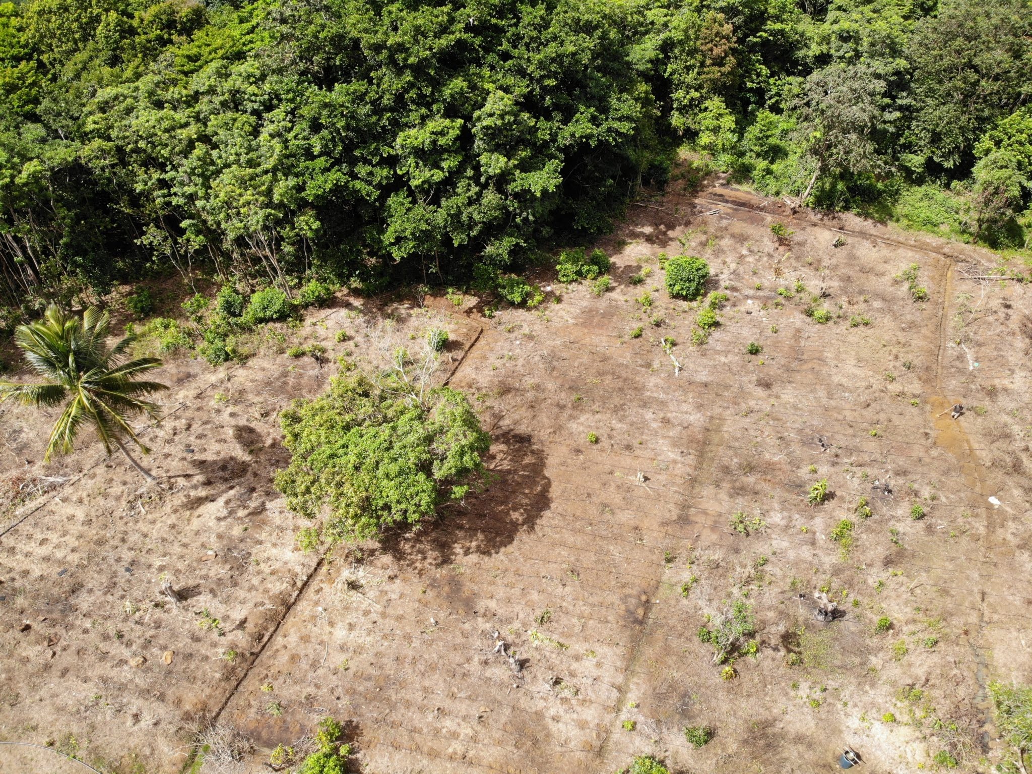 Land for Sale In Des Barras 2 Land for Sale In Des Barras 2