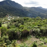 Land for Sale In Des Barras