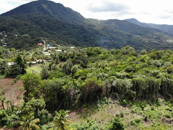 Land for Sale In Des Barras