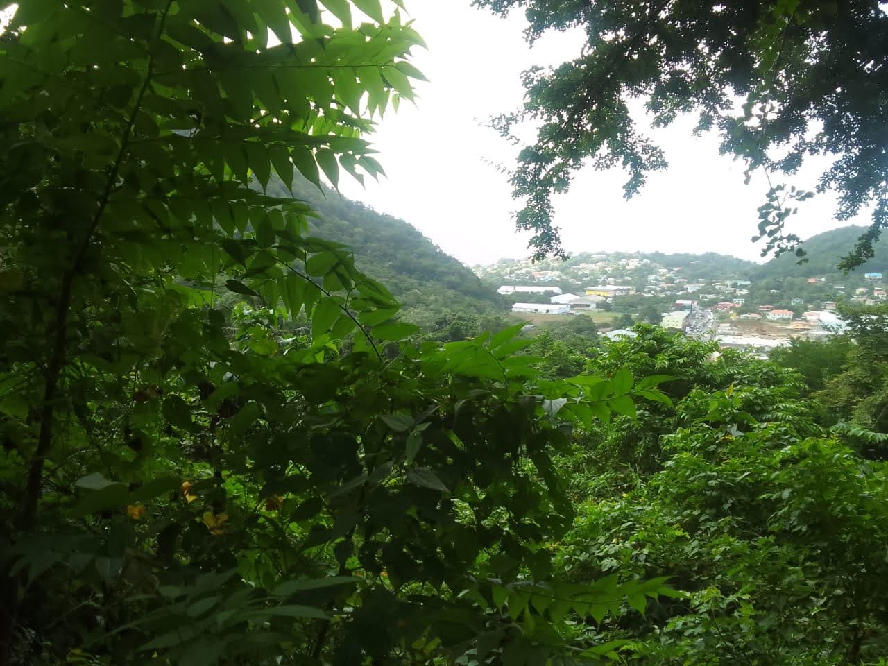 Land For Sale Overlooking Bois D’Orange, Gros Islet 4 Land For Sale Overlooking Bois D'Orange, Gros Islet 4