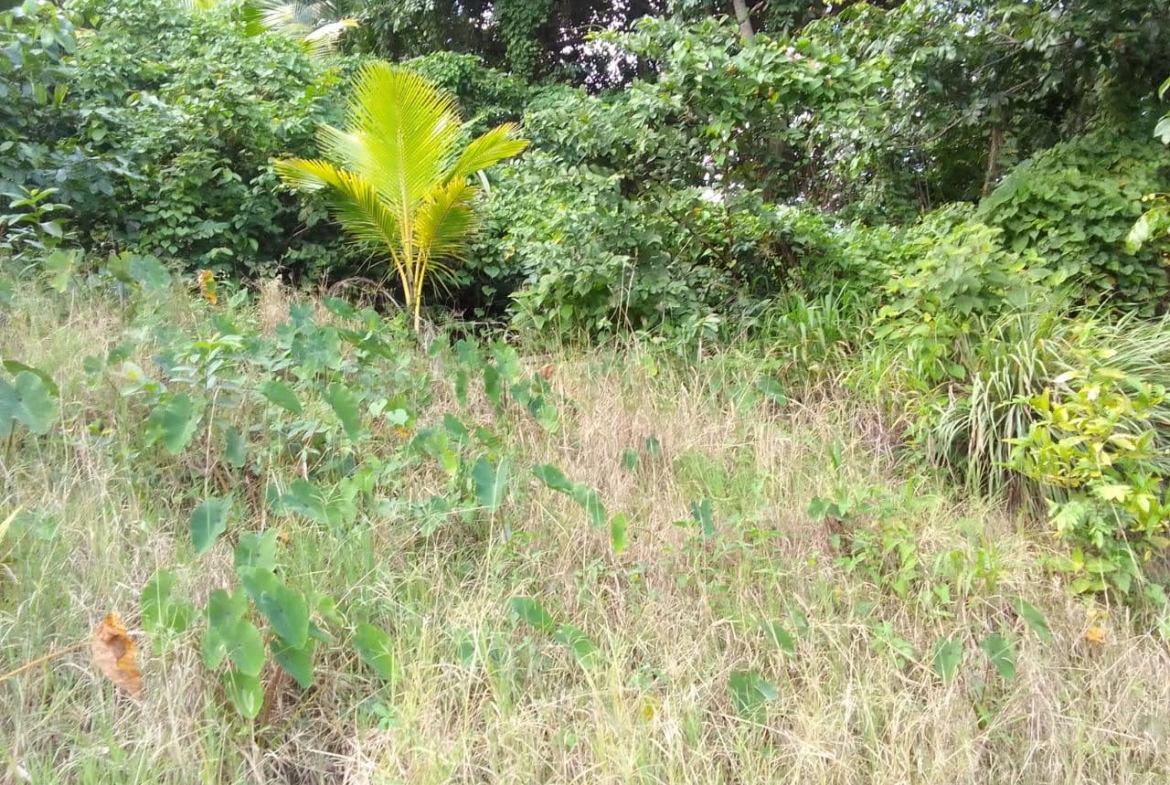 Land For Sale In Quiet Neighbourhood in Anse La Raye