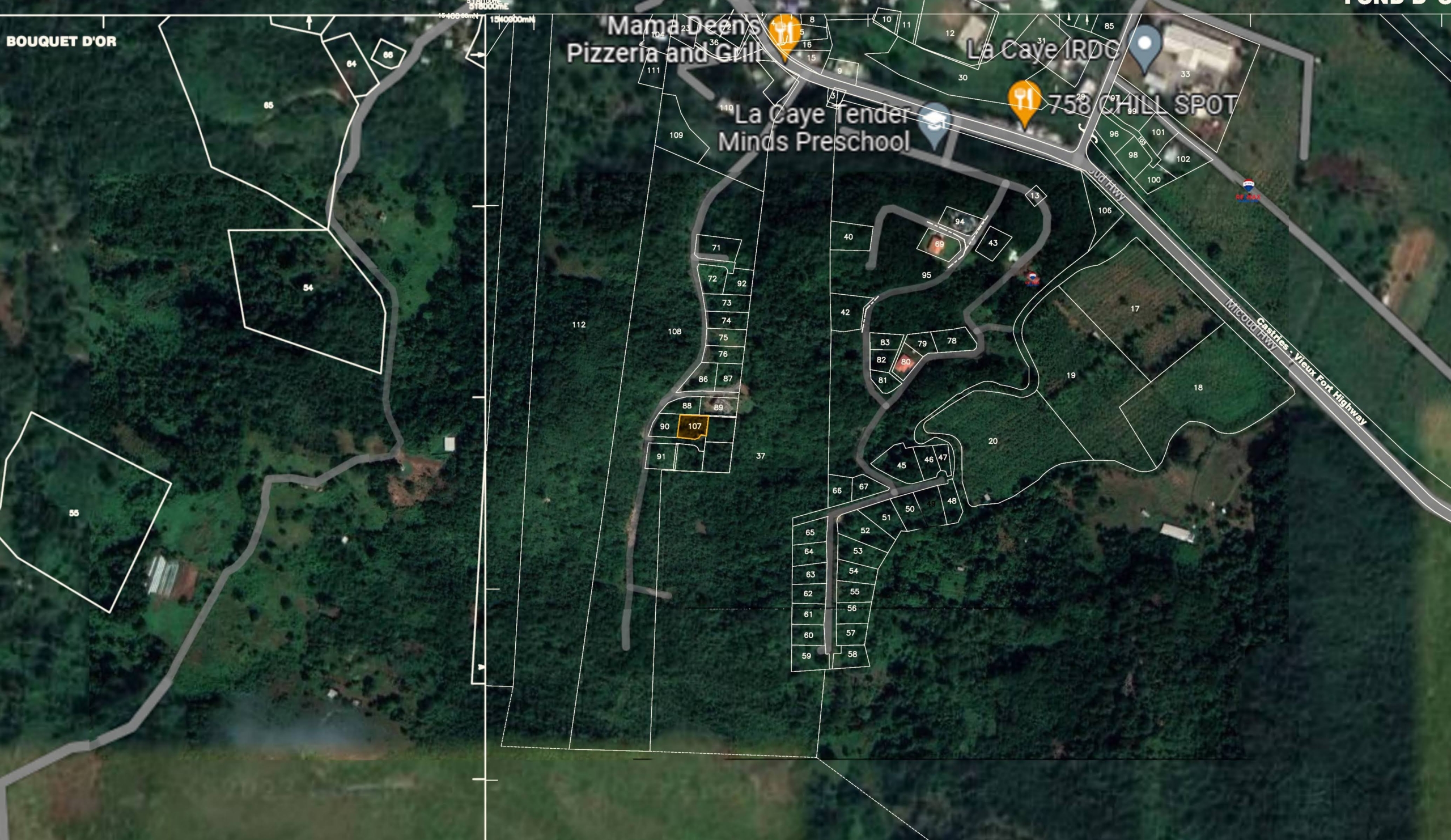 Satellite view with map sheet overlay – 1839B 107 y