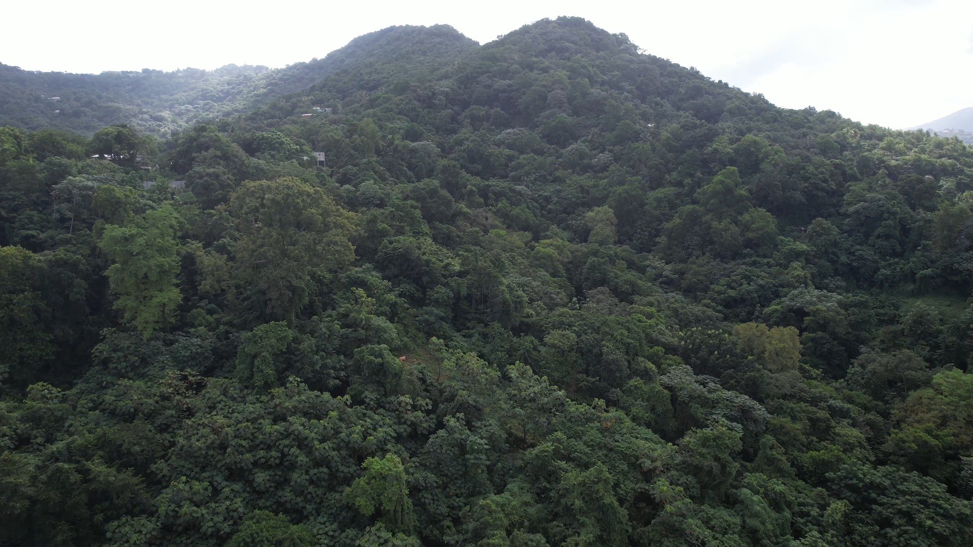 12 Acres of Land for Sale – Real Estate Development 7 12 Acres of Land for Sale - Real Estate Development 7