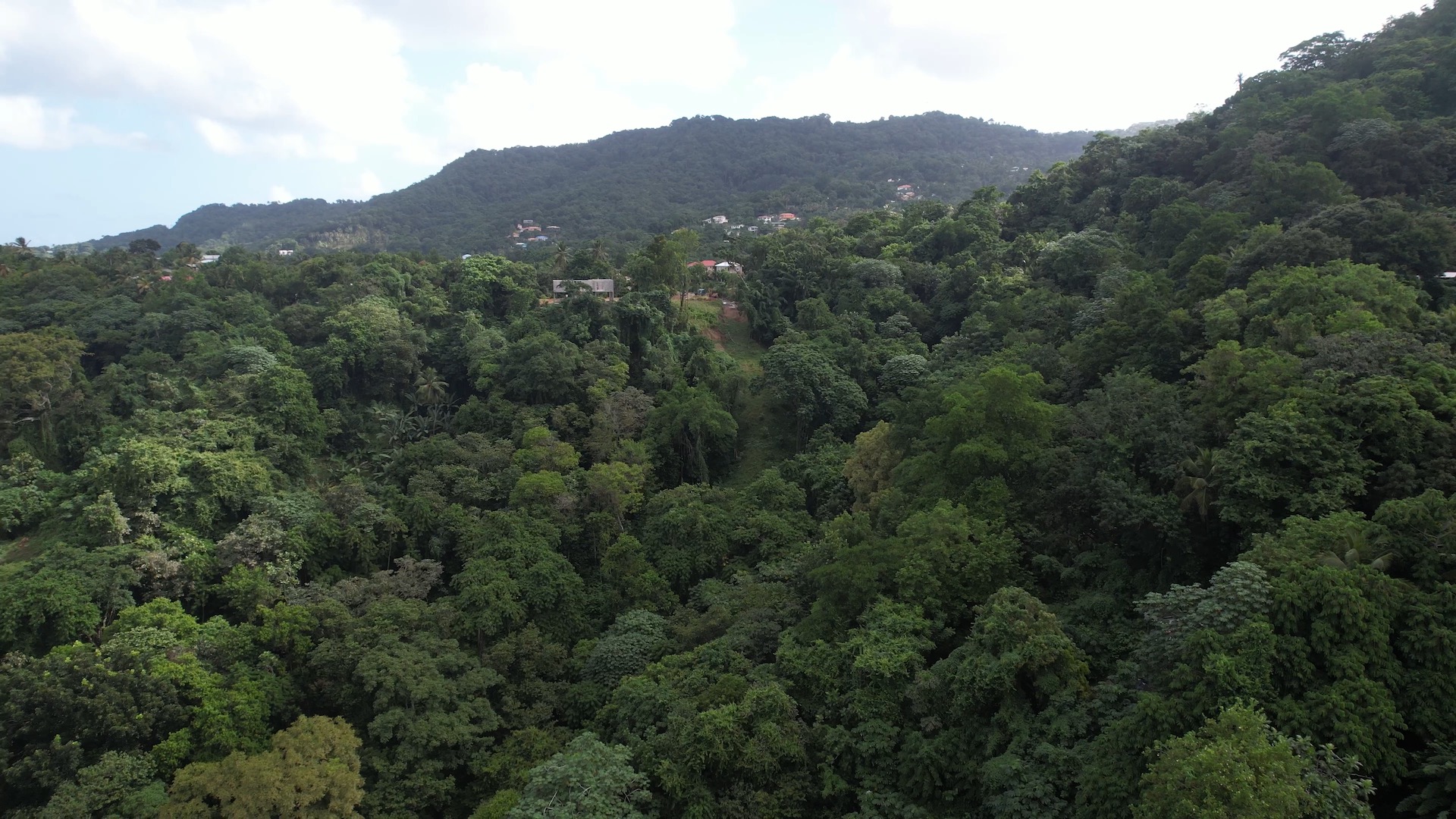 12 Acres of Land for Sale – Real Estate Development 6 12 Acres of Land for Sale - Real Estate Development 6