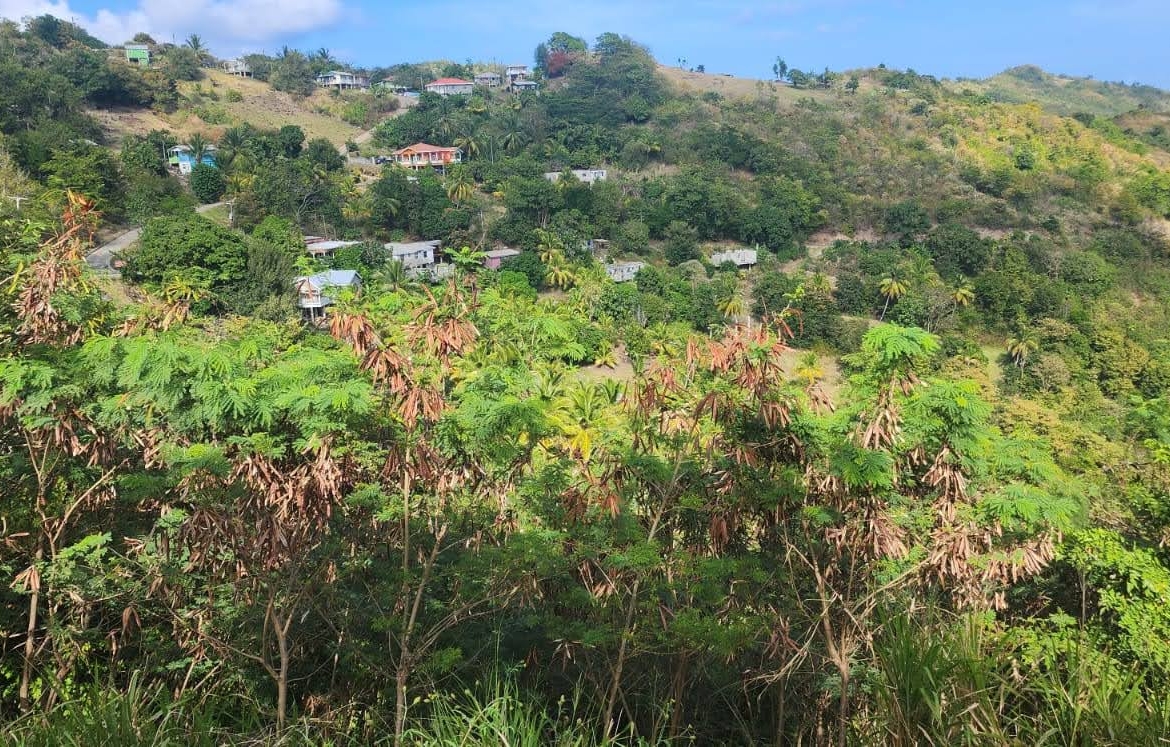 5 Acres Of Land for Sale In La Borne, Gros Islet 3