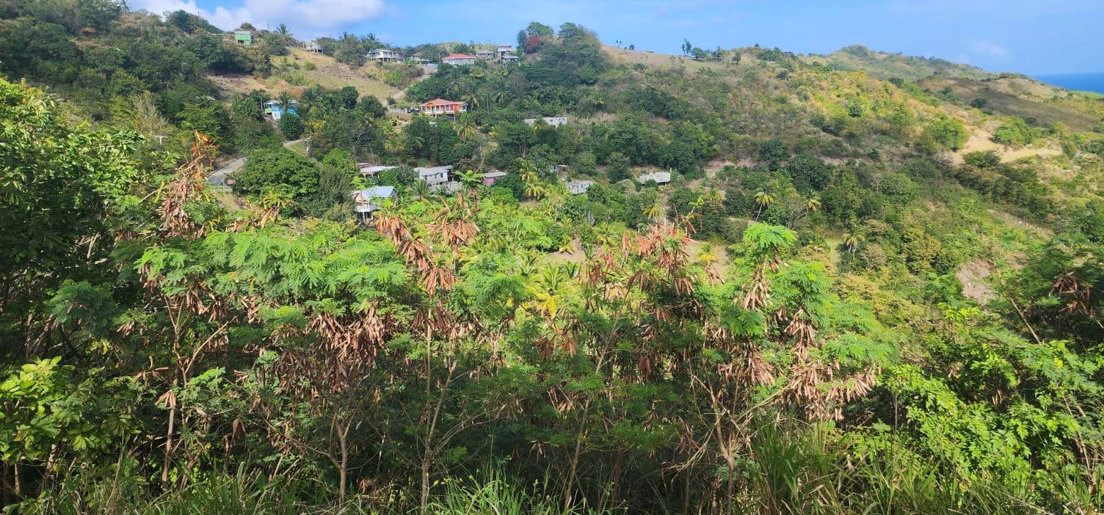 5 Acres Of Land for Sale In La Borne, Gros Islet 3