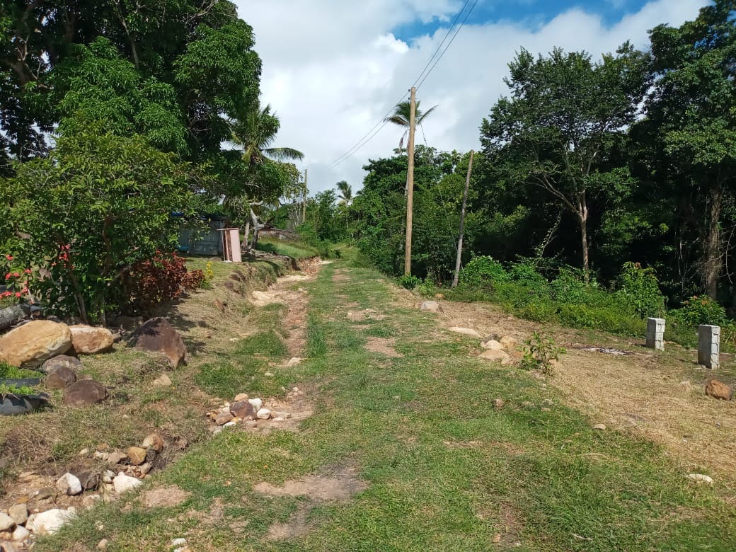 Multiple Lots of Land For Sale In Micoud St Lucia 3