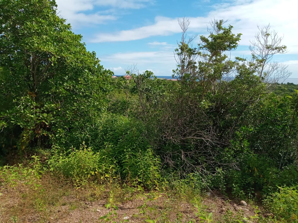 Multiple Lots of Land For Sale In Micoud St Lucia