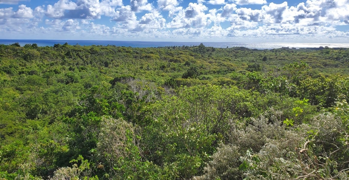 Multiple Lots of Land For Sale In Micoud Saint Lucia