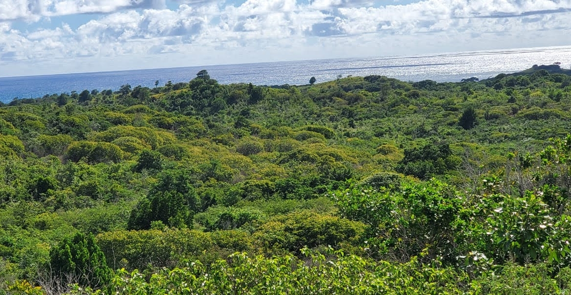 Multiple Lots of Land For Sale In Saint Lucia