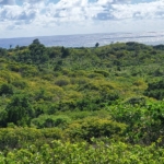 Multiple Lots of Land For Sale In Saint Lucia