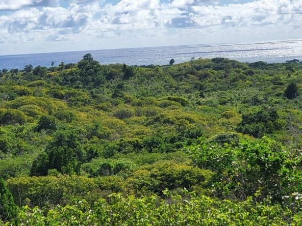 Multiple Lots of Land For Sale In Saint Lucia