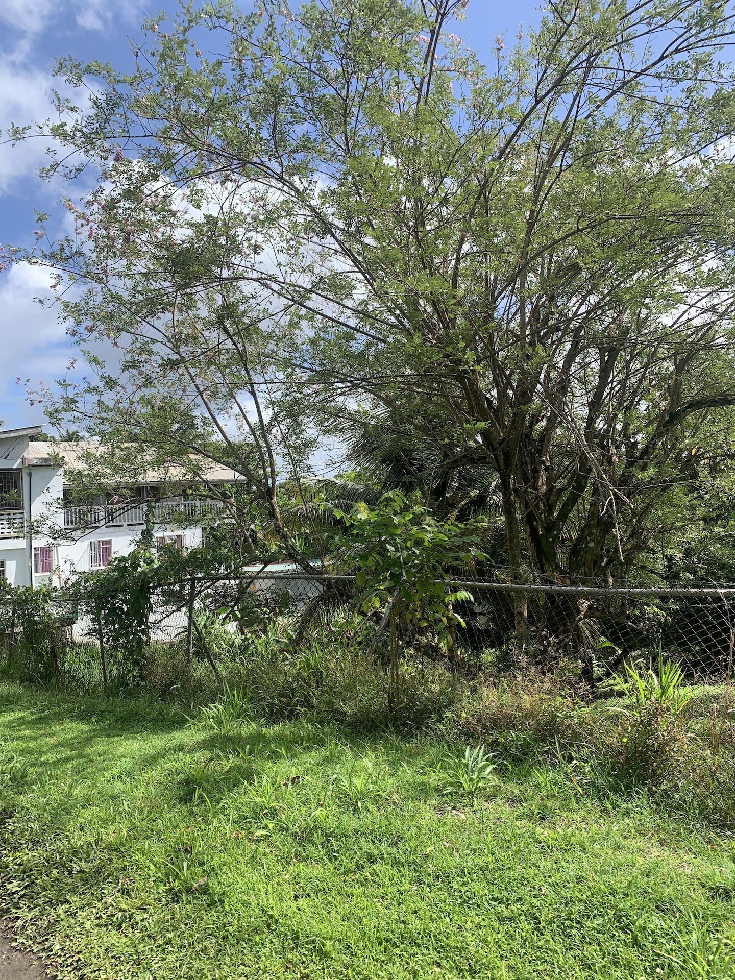 Residential Land for sale in Castries