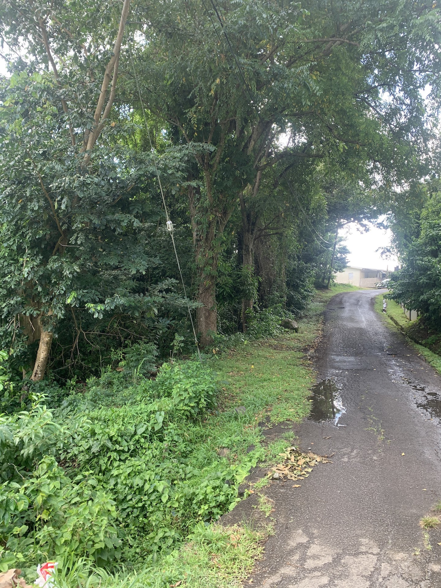 Lot for sale in Morne Fortune - Castries