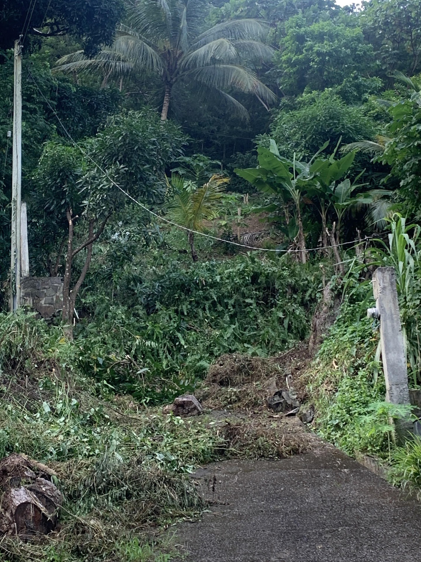 Property for sale with a view in Gros Islet