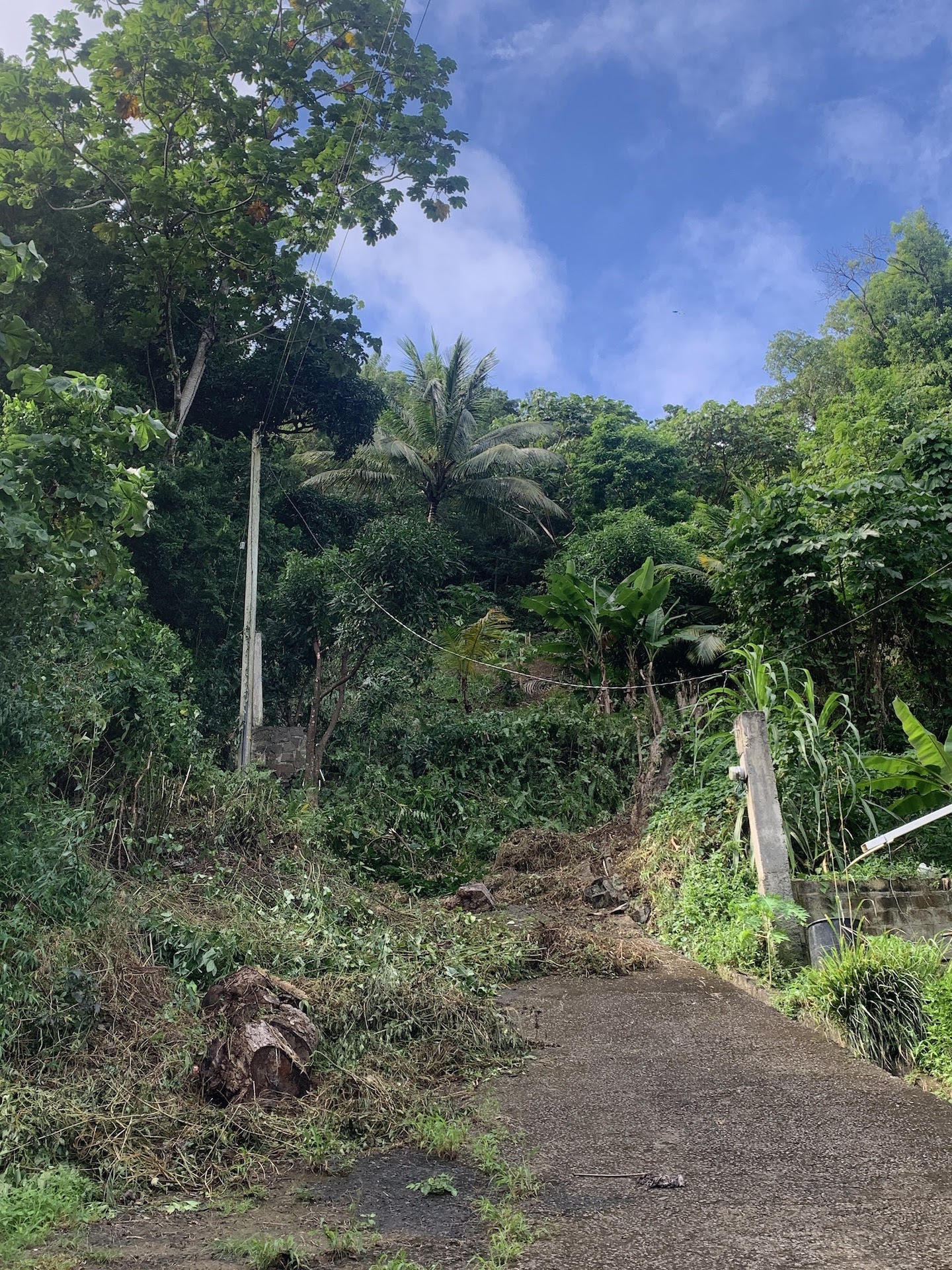 Property for sale with a view in Bois d'Orange Gros Islet