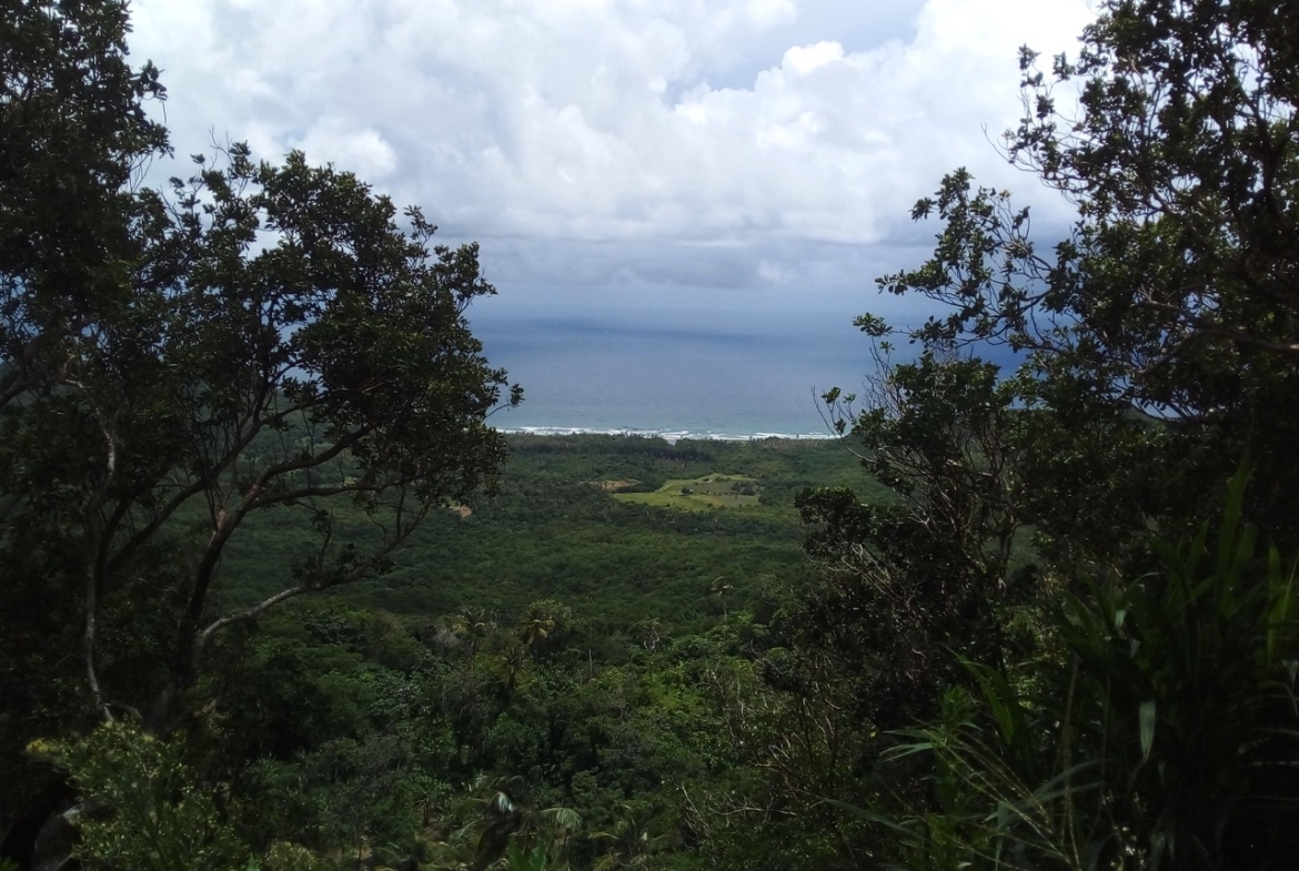 Ocean View Land for Development in Grand Anse