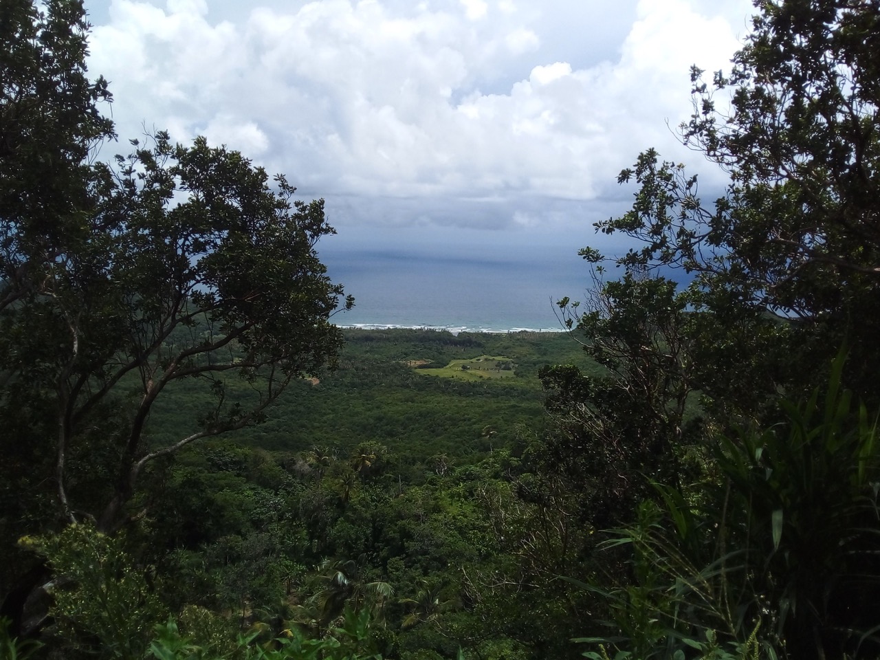Ocean View Land for Development in Grand Anse Ocean View Land for Development in Grand Anse