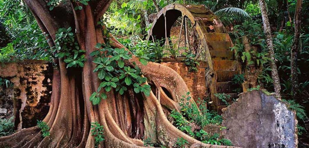 Plantation Ruins in Saint Lucia