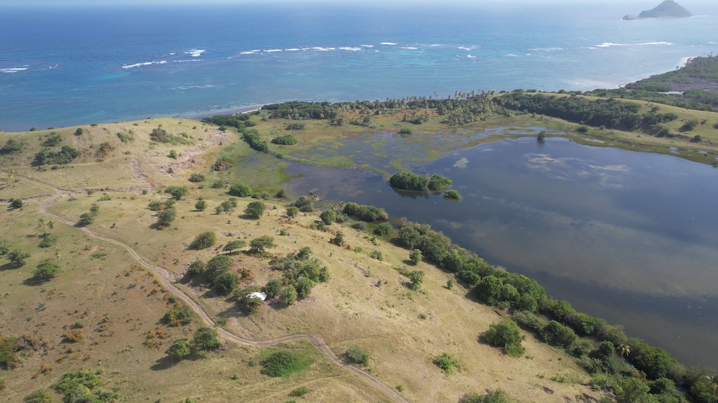 116.1 Acres of Land with a lake for sale - Eau Piquant, Micoud