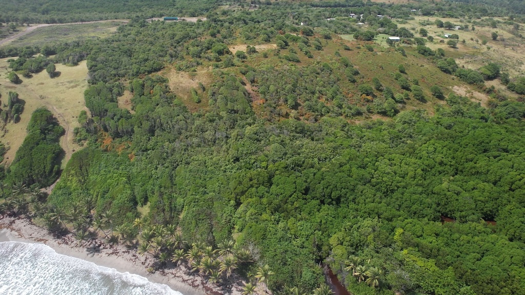 71 acres of beachfront land for sale - Honeymoon Beach