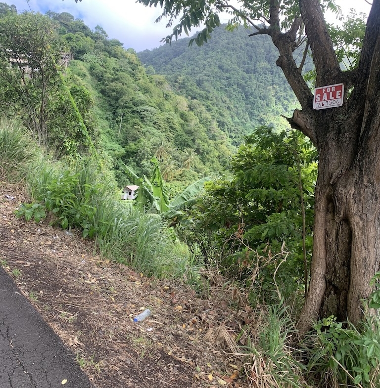Land for sale in Soufriere