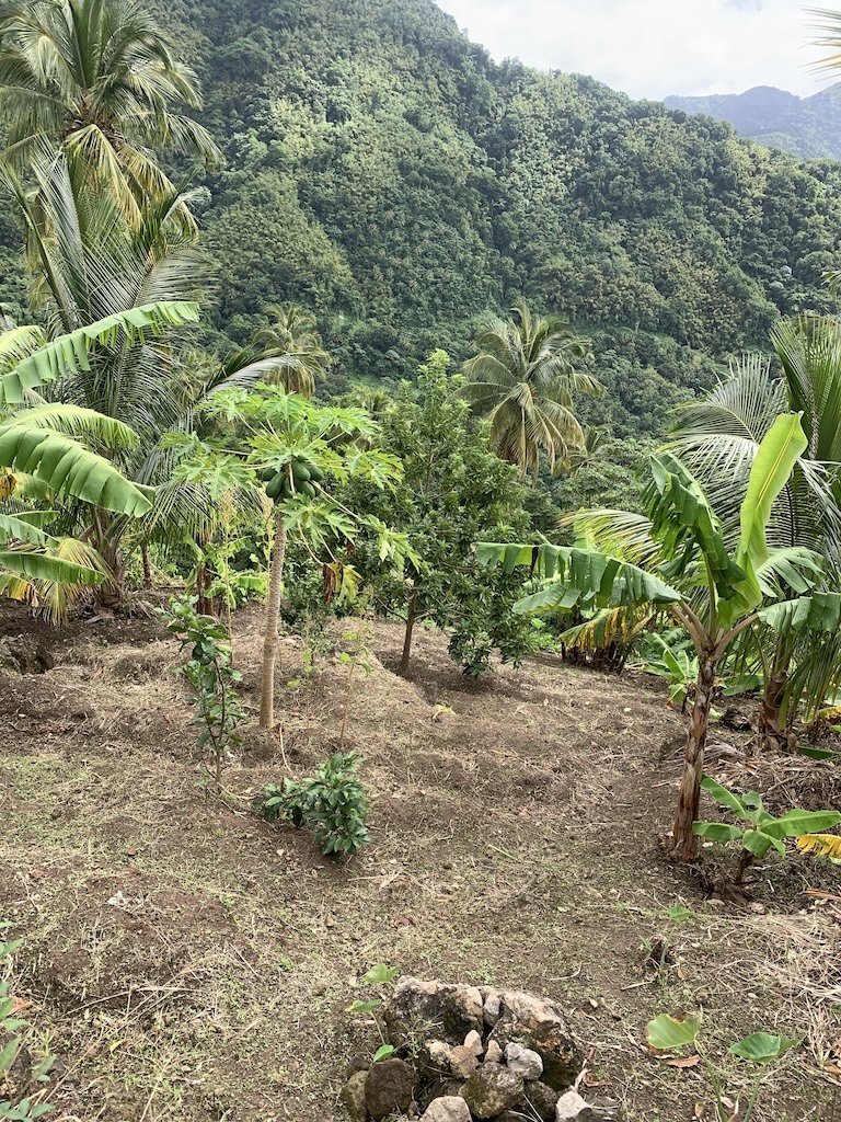 4 Acres of Land for Sale in Soufriere Saint Lucia Real Estate