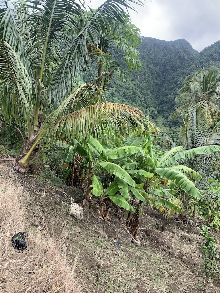 Investment Opportunity for sale in Soufriere Investment Opportunity for sale in Soufriere