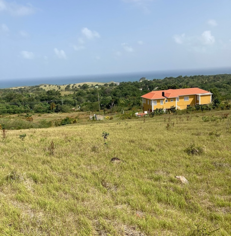 Land for sale in Micoud