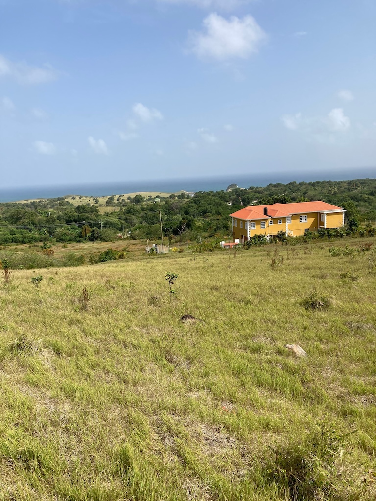 Land for sale in Micoud