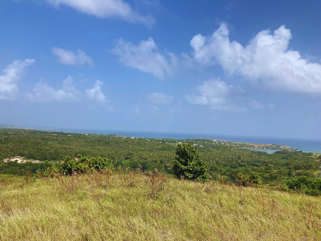 472.7 Acres of Land for Sale in Micoud, Saint Lucia