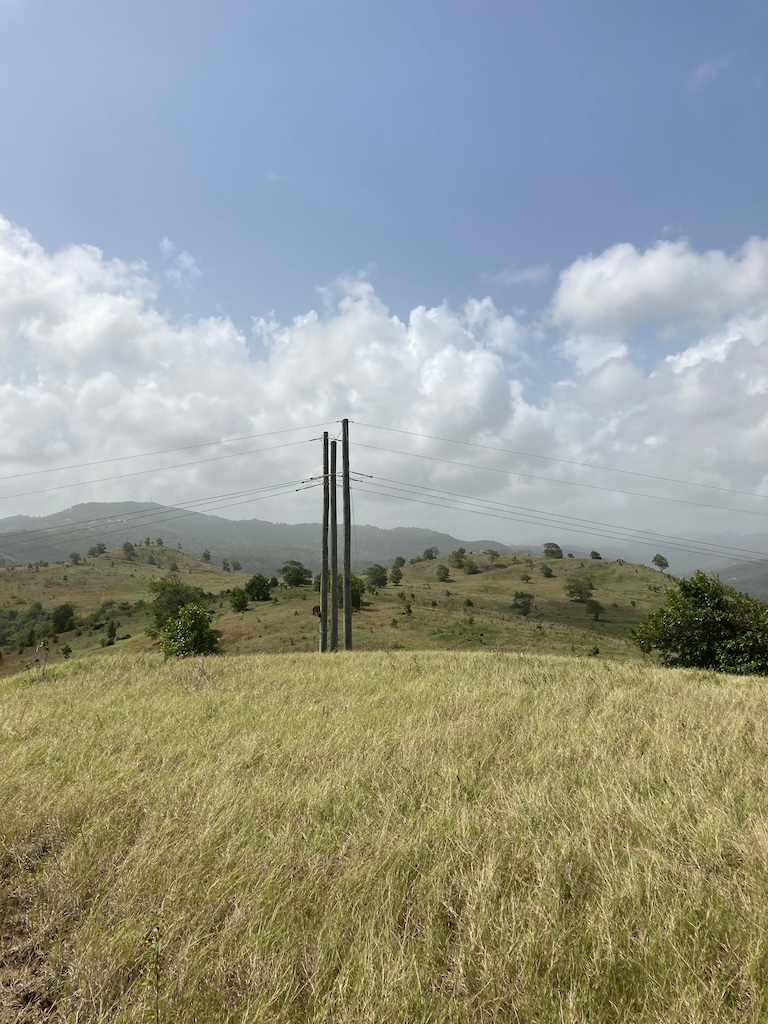 Property for Sale in Micoud